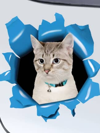 Autocollant personnalisé pour voiture - Animal de compagnie